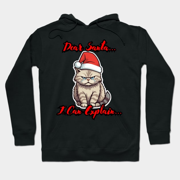 Dear Santa I Can Explain Hoodie by MaystarUniverse